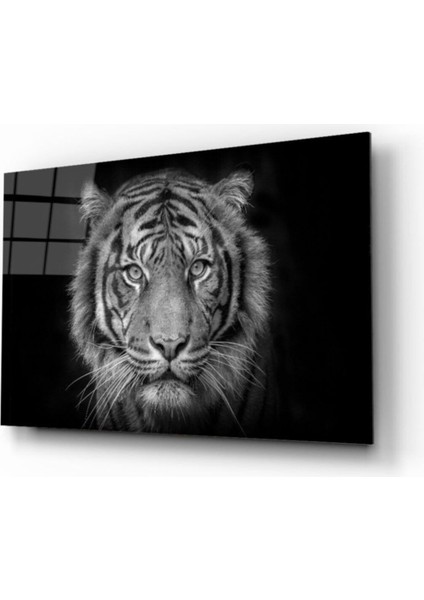 Kaplan 6 Hayvan Cam Tablo