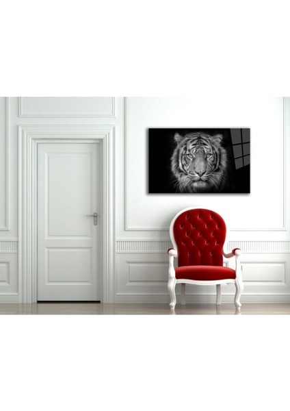 Kaplan 6 Hayvan Cam Tablo fiyatları