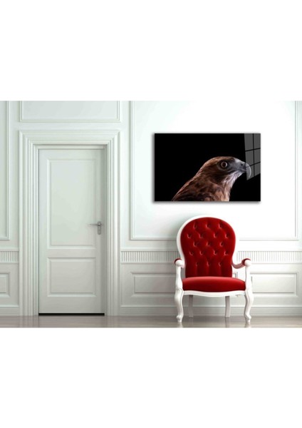 Şahin Kuş Hayvan Cam Tablo fiyatları