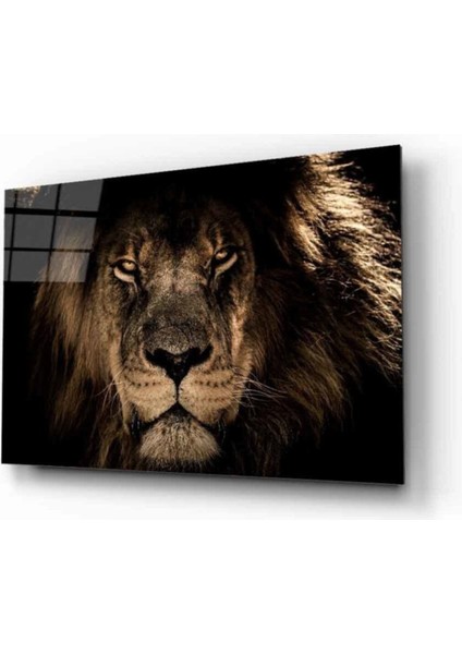 Aslan 19 Hayvan Cam Tablo