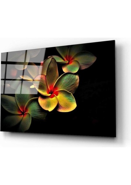 Renkli Çicek Cam Tablo