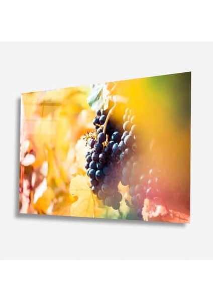 Meyveler Cam Tablo 4mm Dayanıklı Temperli Cam