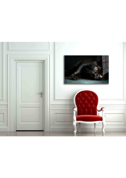 Kedi 10 Hayvan Cam Tablo fiyatları