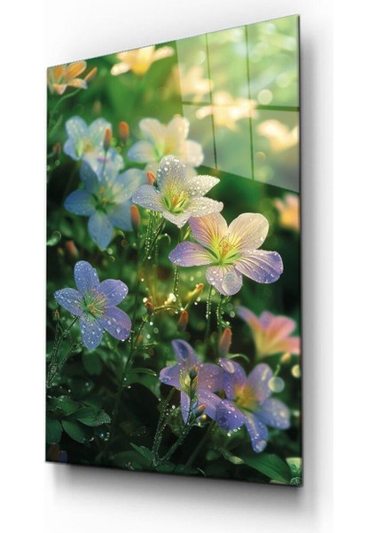 Çiğ Tanburları Cam Tablo Hediyelik Büyük Tablo Ev Ofis Dekoru modelleri