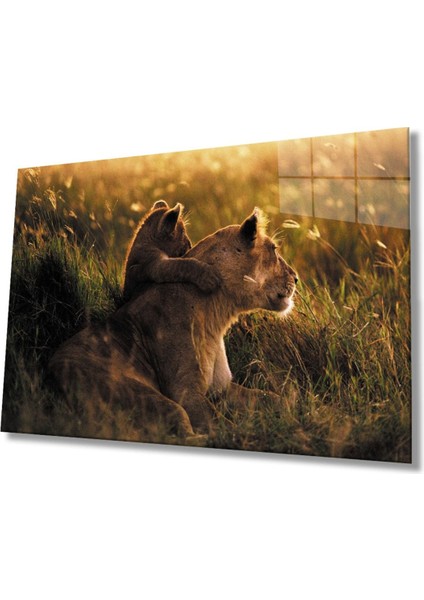 Aslan Hayvan Cam Tablo 4mm Dayanıklı Temperli Cam