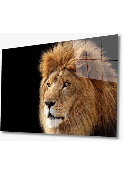 Aslan Hayvan Cam Tablo 4mm Dayanıklı Temperli Cam