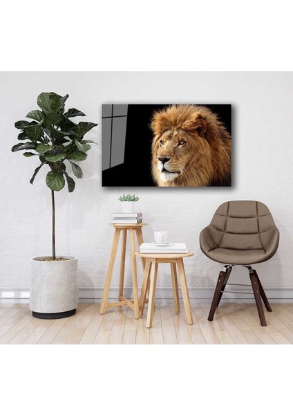 Aslan Hayvan Cam Tablo 4mm Dayanıklı Temperli Cam fiyatları