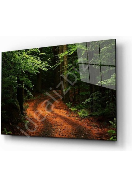 Doğa Manzara Cam Tablo 4mm Dayanıklı Temperli Cam