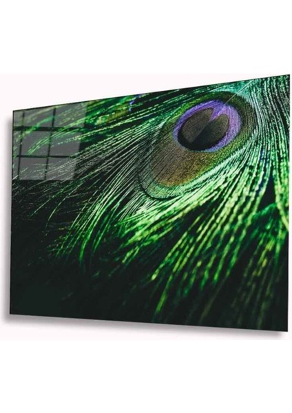 Tavuskuşu Tüyü Cam Tablo 4mm Dayanıklı Temperli Cam