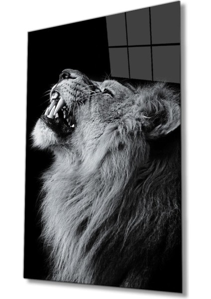 Aslan Hayvan Temperli Cam Tablo fiyatları