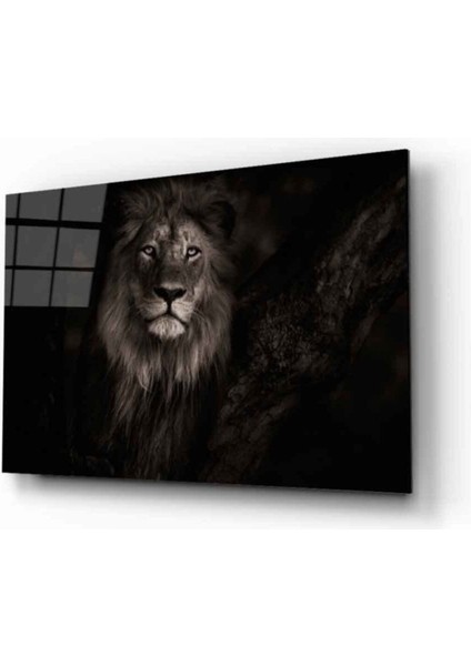 Aslan 25 Hayvan Cam Tablo