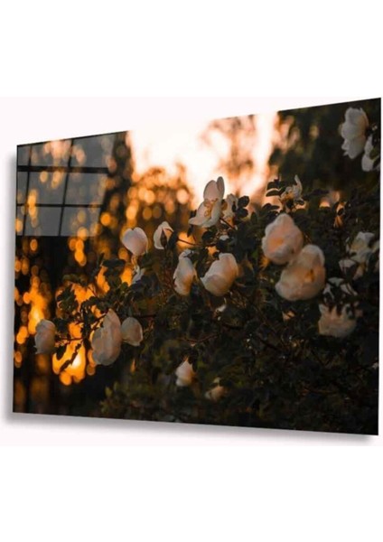 Çiçek Cam Tablo 4mm Dayanıklı Temperli Cam