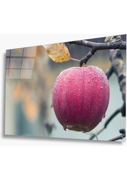 Meyveler Cam Tablo 4mm Dayanıklı Temperli Cam