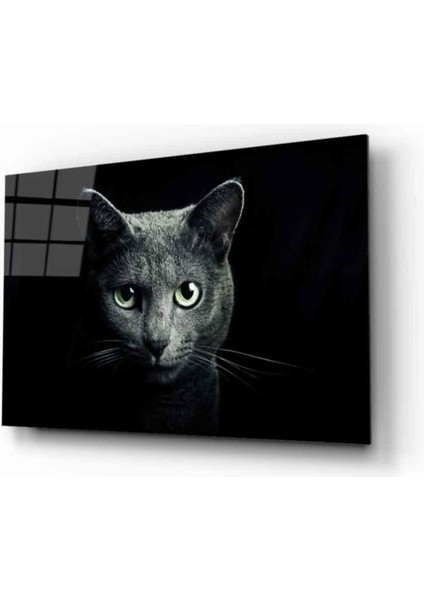 Kedi 8 Hayvan Cam Tablo