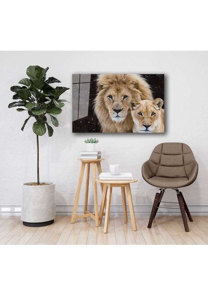 Aslan Hayvan Cam Tablo 4mm Dayanıklı Temperli Cam fiyatları