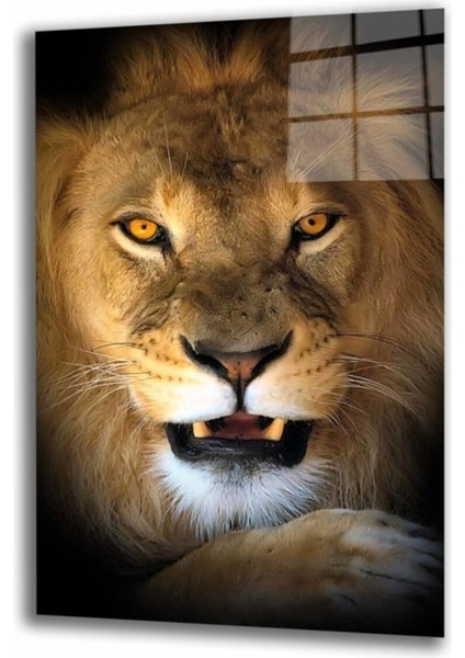 Aslan 15 Hayvan Cam Tablo