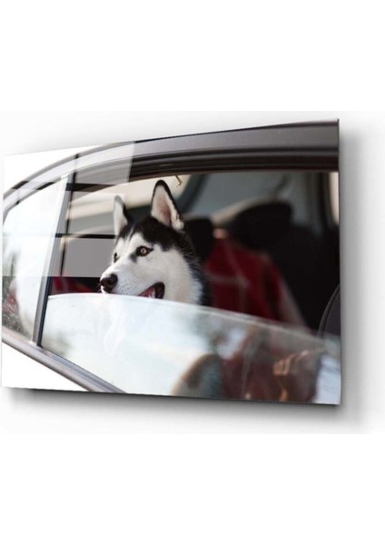 Köpek 4 Cam Tablo