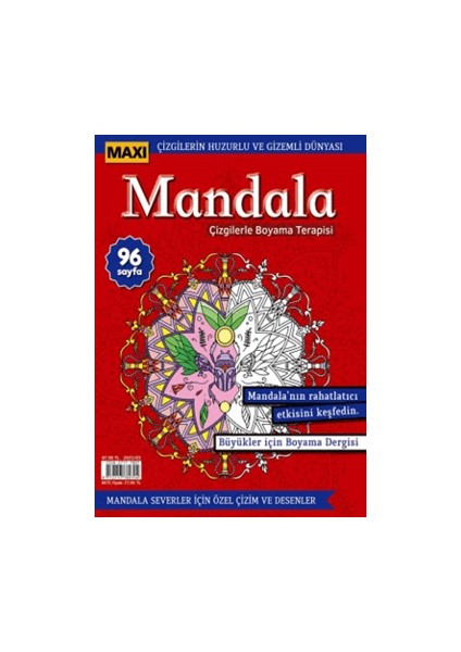 Maxi Mandala Çizgilerle Boyama Terapisi 8 - Bertan Kodamanoğlu
