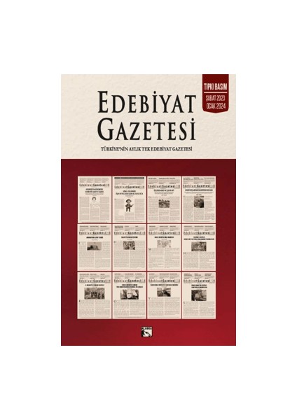 Edebiyat Gazetesi - Yücel Aydın