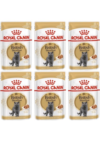 British Shorthair Yaş Mama Pouch 85GR x 6 Adet