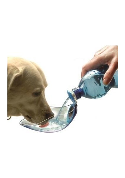 Beviqui Köpekler Için Portatif Suluk