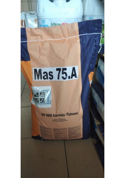 Alfa Tohum Mas Seeds  Mas 75.a Slajlık Mısır Tohumu