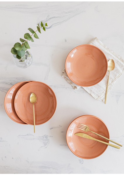 Noon Yemek Tabağı 6lı Somon 20 cm