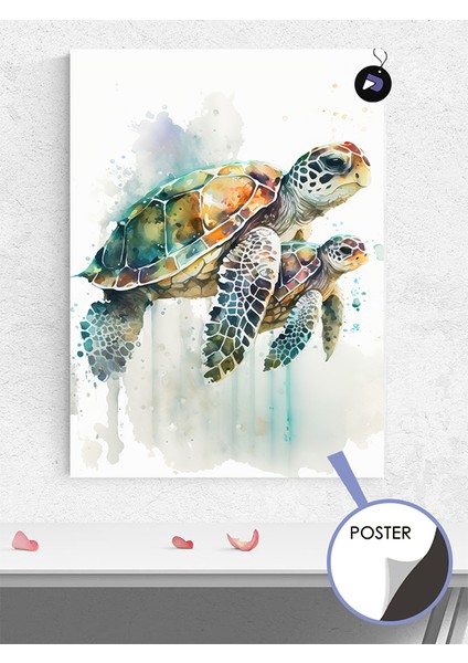 Caretta Kaplumbağaları Hayvan Poster - Afiş - Dekoratif Duvar Posteri