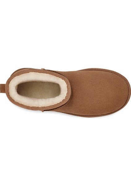 Kadın Bot 1134991 Ugg W Classıc Mını Platform Chestnut (Taba) indirimleri
