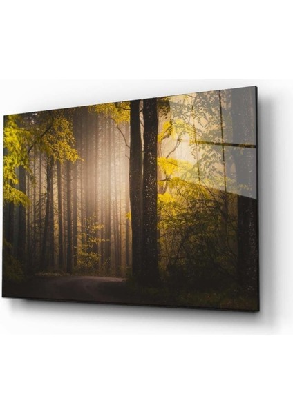 Doğa Manzara Cam Tablo 4mm Dayanıklı Temperli Cam