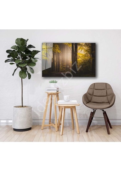 Doğa Manzara Cam Tablo 4mm Dayanıklı Temperli Cam fiyatları