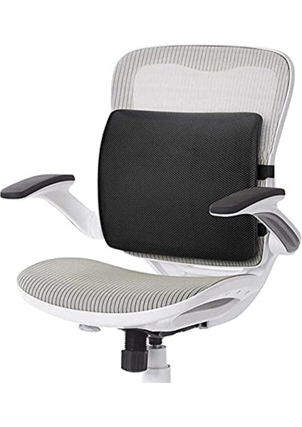 Tekno Trust Pamuk Polyester Siyah Ortopedik Bel Destek Yastığı Bel Yastığı 44 x 29 Hava Geçirgen Visko Elastik