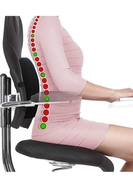 Tekno Trust Pamuk Polyester Siyah Ortopedik Bel Destek Yastığı Bel Yastığı 44 x 29 Hava Geçirgen Visko Elastik