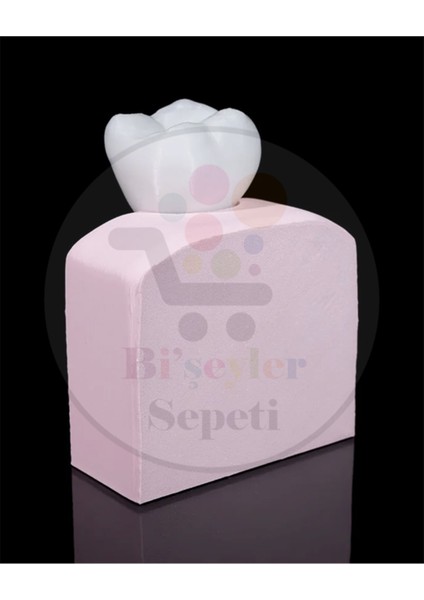 Diş Implantı Dekoratif Figür - 16 cm modelleri