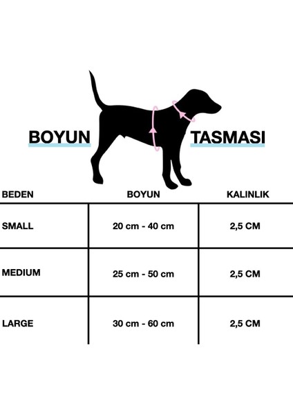 Kişiye Özel Köpek Boyun Tasması Isme Özel Köpek Tasması Isimli Köpek Tasması ve Gezdirme Kayışı Seti fırsatları
