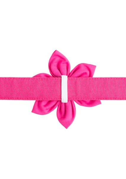 Dişi Köpeklere Özel Fiyonk Papyon ve Çiçek Papyon Seti (Sadece Papyon Tasma Dahil Değil) fırsatları