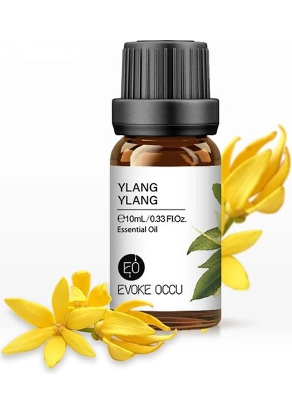 Ylang Tarzı Yeni Çok Kokulu Lavanta Gülü Çay Ağacı Nemlendirici Buhar Sprey Mum Sabun Yapımı Bitki Esansiyel Yağı (Yurt Dışından)