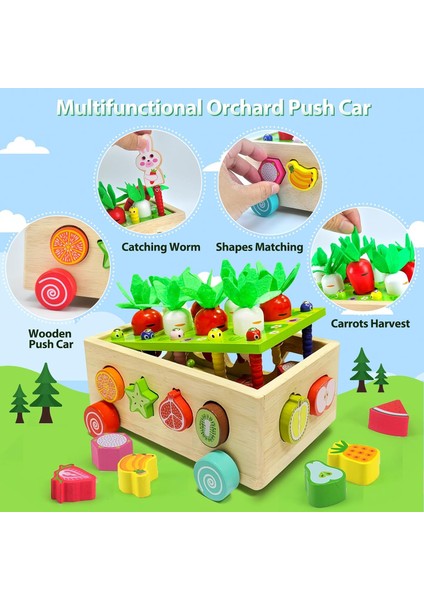 1+ Yaşındaki Çocuklar Için Montessori Oyuncakları, 1-3 Yaşındaki Çocuklar Için Şekil Ayırıcı Oyuncaklar, 1 2 3 Yaşındaki Erkek Çocuk Için Oyuncaklar Şekil Sıralama, Çocuklara Hediy (Yurt Dışından) fiyatları