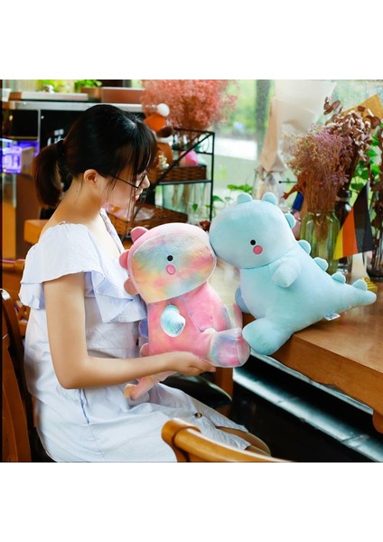 Sevimli Dinozor Peluş Oyuncaklar, Şişman Dinozor Doldurulmuş Hayvanlar Oyuncak Bebekler, Yumuşak Peluş Doldurulmuş Hayvan Dino Peluş, Çocuklar Kız Erkek Renkli 20 Inç Için Doğum Gü (Yurt Dışından)