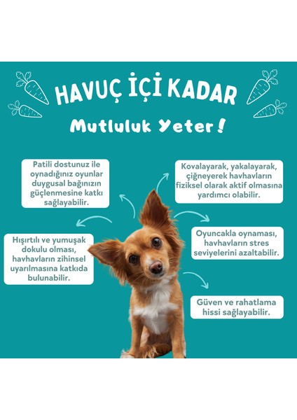 Havuç Şekilli Peluş Köpek Oyuncağı Turuncu Renkli Sesli Köpek Oyuncağı Köpek Uyku Arkadaşı