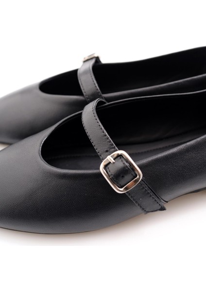 Siyah Babet 24011 fiyatları