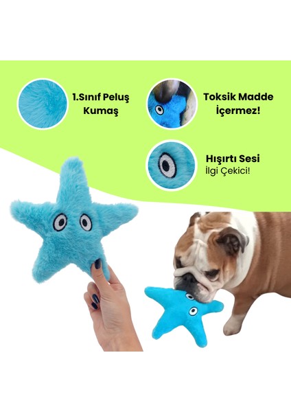 Peluş Denizyıldızı Hışırtı Sesli Köpek Oyuncağı Köpek Uyku Arkadaşı Güvenli Köpek Oyuncakları fiyatları