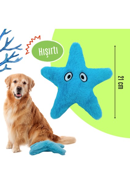 Peluş Denizyıldızı Hışırtı Sesli Köpek Oyuncağı Köpek Uyku Arkadaşı Güvenli Köpek Oyuncakları modelleri
