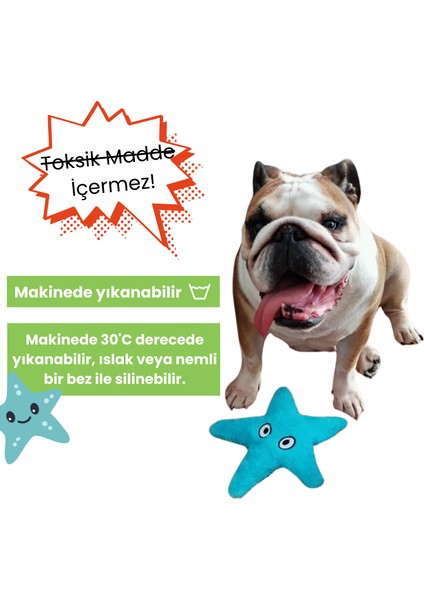 Peluş Denizyıldızı Hışırtı Sesli Köpek Oyuncağı Köpek Uyku Arkadaşı Güvenli Köpek Oyuncakları fırsatları