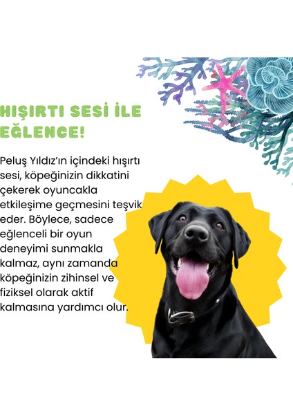 Peluş Denizyıldızı Hışırtı Sesli Köpek Oyuncağı Köpek Uyku Arkadaşı Güvenli Köpek Oyuncakları indirimleri