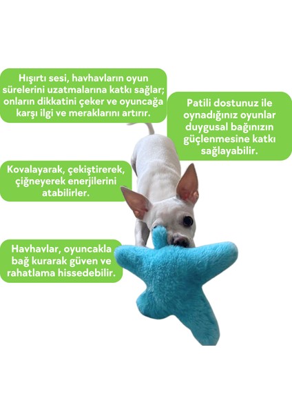 Peluş Denizyıldızı Hışırtı Sesli Köpek Oyuncağı Köpek Uyku Arkadaşı Güvenli Köpek Oyuncakları