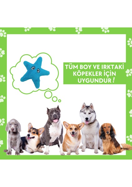 Peluş Denizyıldızı Hışırtı Sesli Köpek Oyuncağı Köpek Uyku Arkadaşı Güvenli Köpek Oyuncakları