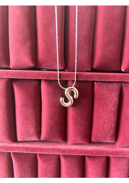 Kadın Çelik Balon S Harf Kolye