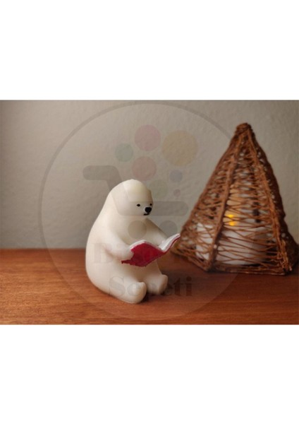 Kutup Ayıları - Kitap Okuyan Ayı