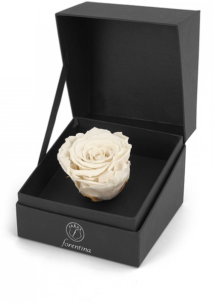 Sonsuzluk Kolye &amp; Beyaz Solmayan Gül Hediye Set PS2755 modelleri